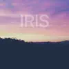 Kina Grannis - Iris - Single